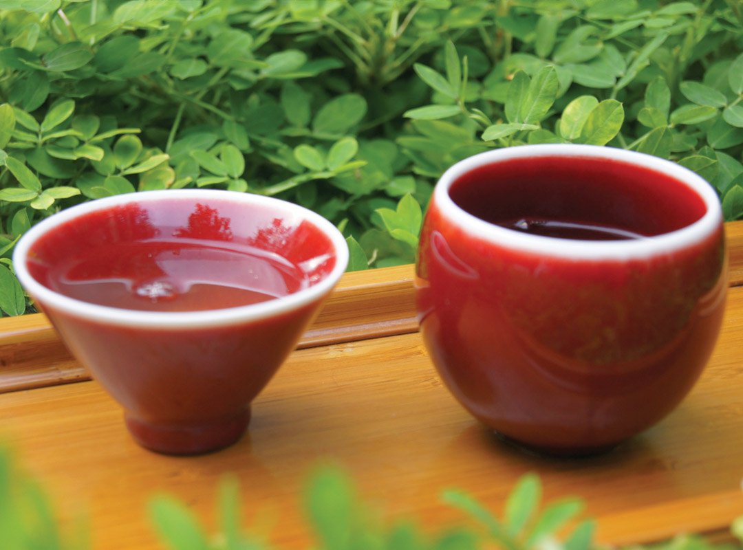 Uống trà Oolong có lợi cho sức khỏe