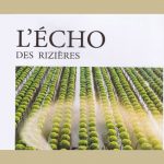 Tờ báo tiếng Pháp - Viết về thiền sư Tuệ Tính & lịch sử nghề thuốc nam