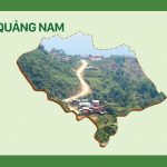 Vùng chè Quảng Nam
