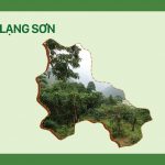 Vùng chè Lạng Sơn
