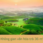 Thiết kế: Không gian văn hóa trà