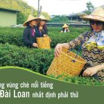 Những vùng trà nổi tiếng của Đài Loan nhất định phải thử Những vùng trà nổi tiếng của Đài Loan nhất định phải thử