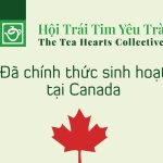 Hội Trái Tim Yêu Trà tại Canada